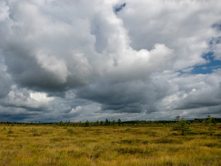 Fototapeta na wymiar colorful view of the bog with clouds of reflection in the lake -