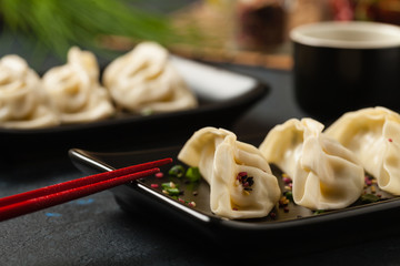 Original Japanese dumplings Gyoza with chicken and vegetables.Front view. Dark blue backgrund.