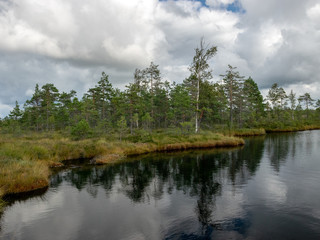 colorful view of the bog with clouds of reflection in the lake -