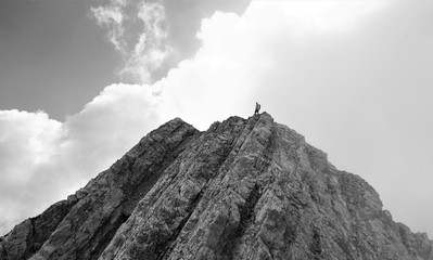 Bergsteiger am Gipfel