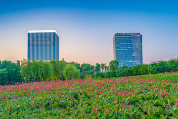 Dusk view of bush gardens and business buildings, Daning Tulip Park, Shanghai, China