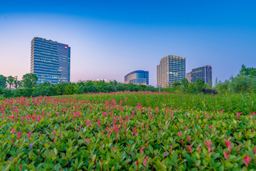 Dusk view of bush gardens and business buildings, Daning Tulip Park, Shanghai, China