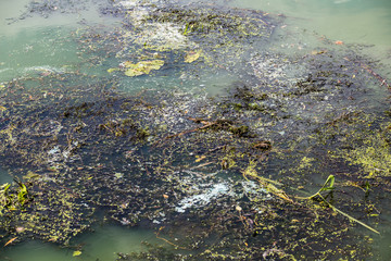 Spilled garbage on the beach of the big city. Empty used dirty plastic bottles. Environmental pollution. Ecological problem.