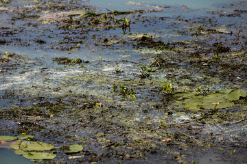 Spilled garbage on the beach of the big city. Empty used dirty plastic bottles. Environmental pollution. Ecological problem.