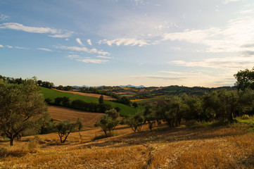 Fototapeta na wymiar Paesaggio rurale marchigiano in estate