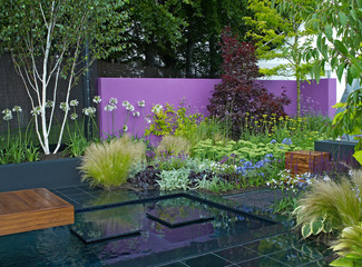 A colourful modern garden design with a range of flowers, plants and shrubs, decking, water and...