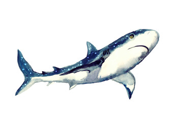 Watercolor shark on the white background. Watercolor shark sketch. Beautiful kids illustration. Illustration isolated on white background for design,print or background.