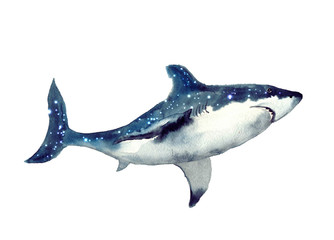 Watercolor cute whale. Shark illustartion