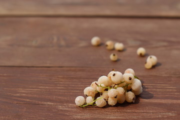 white beans on wooden background