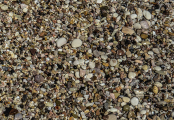 Wets little stones on the beach