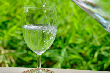 glass of water on green background