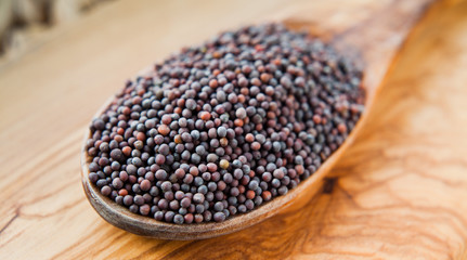 Fototapeta na wymiar Black Mustard Seeds - Indian Spices on wooden spoon, macro.