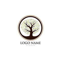 Obraz premium Tree icon logo template vector illustration design 