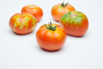 Tomate maduro sobre fondo liso