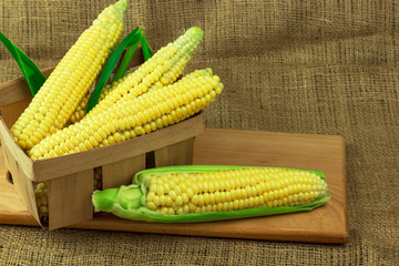 sweet corn in a basket against the background of burlap, copy spaсe