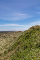 Marram grass covered sand dunes along the Oregon coast, with a blue sky overhead