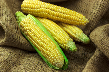 sweet corn on burlap background