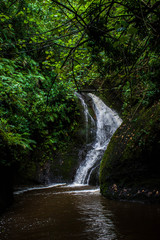 Fototapeta na wymiar Waterfall in Rarotonga