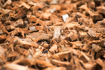 coconut husk.background of coconut spathe.