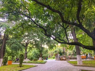 Obraz premium path in the park