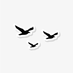 Three Seagulls sticker flat style illustration for web