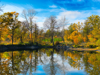 Obraz premium Autumn colorful foliage over lake