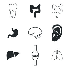 Organ icons set. Vector illustration