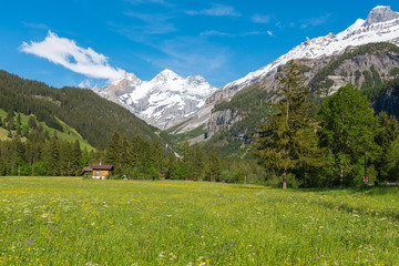 Fototapeta na wymiar Landscape with Bluemlisalp mountain close to Kandersteg