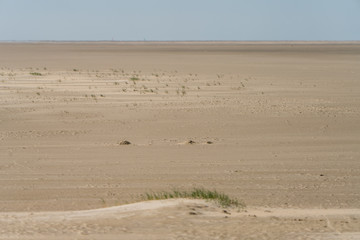 Sanddünen an der Nordseeküste