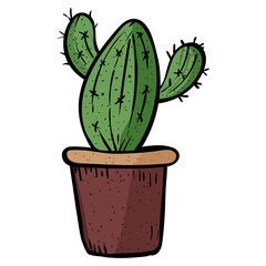 Plant from the family of succulents. Beautiful potted plant. - Vector.