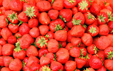 Beautiful background of ripe strawberries
