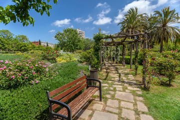 Obraz premium Public park, spring day, Rose Garden, Parc Cervantes in Les Corts quarter of Barcelona, Catalonia, Spain.