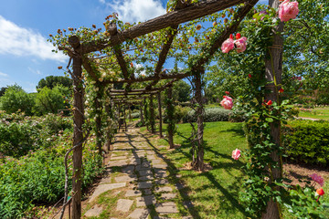 Public park, spring day, Rose Garden, Parc Cervantes in Les Corts quarter of Barcelona, Catalonia, Spain.