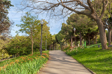 Public garden, Jardins Verdaguer in Montjuic park of Barcelona, Catalonia, Spain.