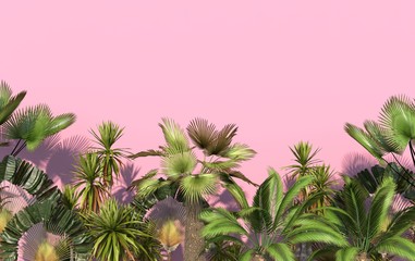 Fototapeta na wymiar Green palm trees and tropical exotic plants on a pink background with copy space. Conceptual creative illustration. 3D rendering.