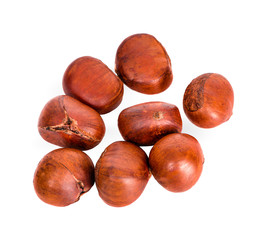 Sweet chestnut on white background