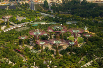 Aerial view of gardens by the bay on a sunny day, Singapore