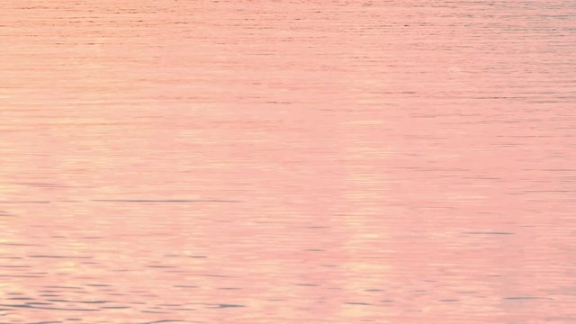 Wave water background. Beautiful water surface at sunset