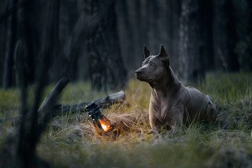 Yuna the keeper of the light