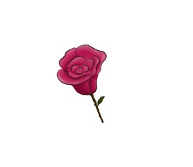rose