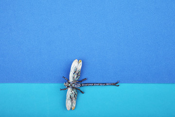 Beautiful brooch in the form of a dragonfly on a blue background