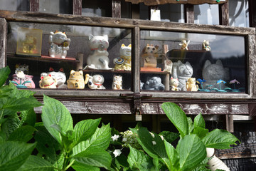 日本の田舎の古くて美しい飾り桃