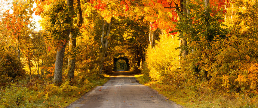 Beautiful,full of colors autumn road.Pomerania , Poland