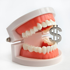 Dollar sign between the teeth in a man's jaw layout. Paid dentistry.