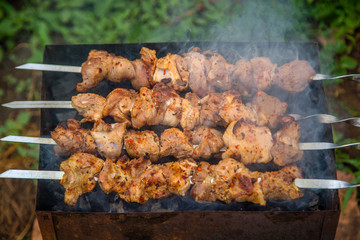 cook shashlik on the grill with coal in the street