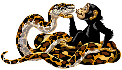 Cartoon chimpanzee and python snake friendship. Great ape or chimp monkey holding a head of charming big boa and sending air kiss. Cheerful and attractive emotion. Isolated side view vector 