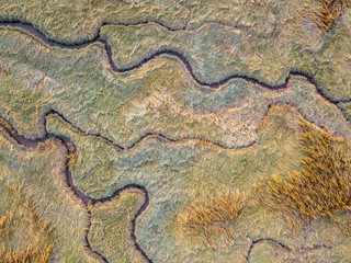 Aerial view of tidal marshland