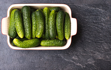 Fresh small cucumbers, good for different salads.