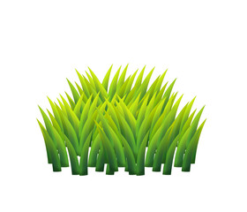 Cartoon nature element grass or bush on white background illustration for children