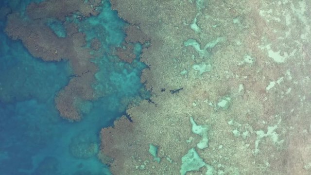 cool sea okinawa Japan
